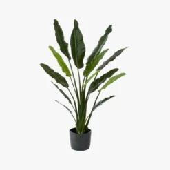 Potted Faux Bird Of Paradise 6' -Nesto Store BirdOfParadiseF17
