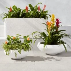 Boka White Concrete Indoor/Outdoor Planter Bowl Small -Nesto Store BokaWhitePlanterBowlGroupFHS23