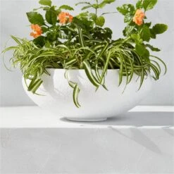 Boka White Concrete Indoor/Outdoor Planter Bowl Small -Nesto Store BokaWhitePlanterBowlSmAVSHS23