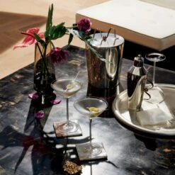 Swing Coupe Martini/Cocktail Glass -Nesto Store CB2SP22 20B v2 RET 1