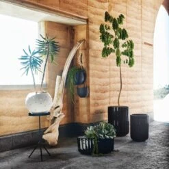 Pavilion Black Cocktail Table/Plant Stand 21.5" -Nesto Store CB2SU23 16B RET