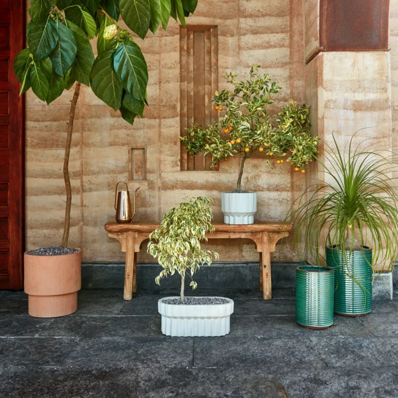 Brass-Plated Watering Can 8 Brass-Plated Watering Can - Image 6