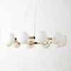 Curie Polished Champagne Chandelier -Nesto Store CuriePlshdChmpgnChndlrSHF22