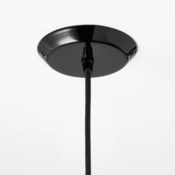 Exposior Black Pendant Light Model 018 24.75" 9 Exposior Black Pendant Light Model 018 24.75" -Nesto Store ExposiorCvrPendantMdl2011SSS22