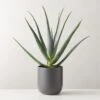 Faux Potted Aloe Vera Plant 26" -Nesto Store FauxPottedAloe24p5inSHS23