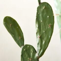 Faux Potted Cactus Plant 4'9'' 7 Faux Potted Cactus Plant 4'9'' -Nesto Store FauxPottedCactus4p9inAVSHS23