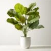 Faux Potted Watermelon Peperomia Plant 24" 2 Faux Potted Watermelon Peperomia Plant 24" -Nesto Store FxPttdWtrmlnPprmPlant24inSHF22