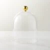 Glass Cloche With Unlacquered Brass Knob -Nesto Store GlassClocheSHS23