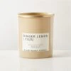 Illume Ginger Lemon Yuzu Scented Candle 7.4 OZ -Nesto Store IllumeGgrLmYuzu7p4ozSctCdSHF23
