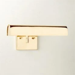 Jolie Polished Brass Picture Light Sconce 12"