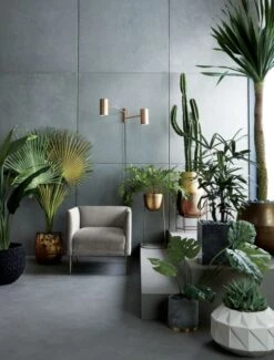 Potted Faux Cardón Cactus 5' -Nesto Store MaraisShadowGreyVelvetArmchairJN19