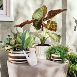 Cap Grey Cement Coffee Table -Nesto Store MaxieGraphicStripedPlanterAP21 1x1