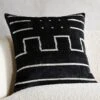 Lines Turkish Black Silk Throw Pillow With Feather-Down Insert 20" -Nesto Store ModernLnTkSkPlwCv20X20inSHF21