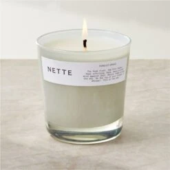 Nette Fons Et Origo Soy Wax Candle