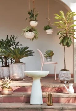 Brass-Plated Watering Can 11 Brass-Plated Watering Can -Nesto Store OverlaySucculentPlanterM20