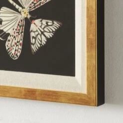 'Papillion' Framed Giclee Art Print 24"x24" 7 'Papillion' Framed Giclee Art Print 24"x24" -Nesto Store Papillion24x24inAV2SHS22