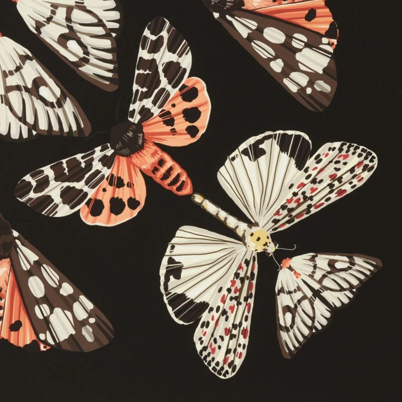 'Papillion' Framed Giclee Art Print 24"x24" 4 'Papillion' Framed Giclee Art Print 24"x24" - Image 2