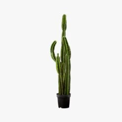Potted Faux Cardón Cactus 5' -Nesto Store PottedCactus60S17