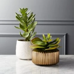 Potted Faux Succulent 14" -Nesto Store PottedSucculentGroupFHS18