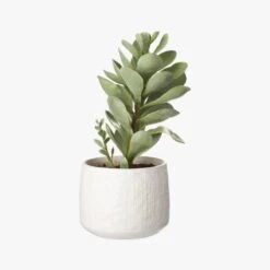 Potted Faux Succulent 14" -Nesto Store PottedSucculentWhitePotS18
