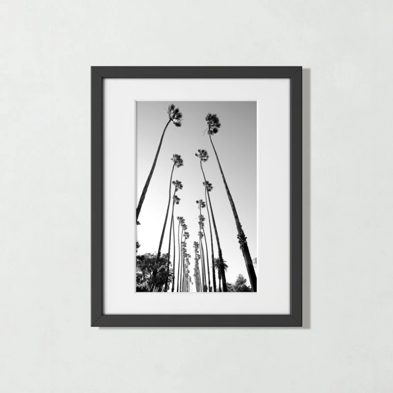 'Palm Trees Road' Photographic Print In Black Frame 17.5"x21.5" 3 'Palm Trees Road' Photographic Print In Black Frame 17.5"x21.5"