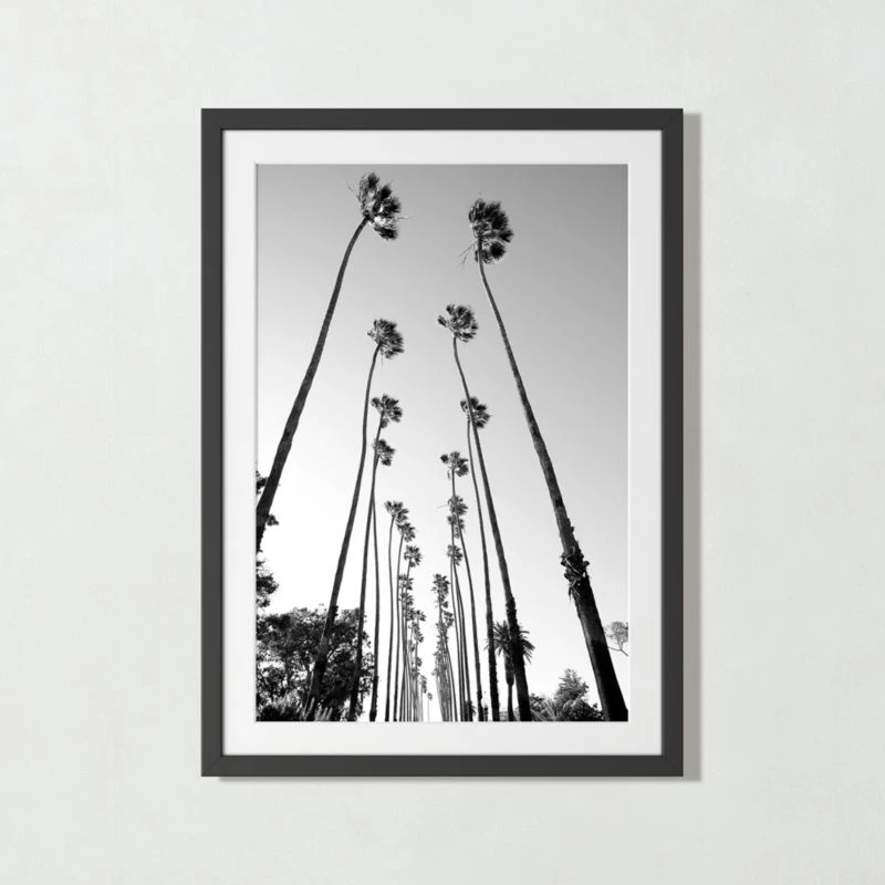 'Palm Trees Road' Photographic Print In Black Frame 17.5"x21.5" 4 'Palm Trees Road' Photographic Print In Black Frame 17.5"x21.5" - Image 2