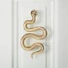 Polished Brass Snake Door Knocker 1 Polished Brass Snake Door Knocker -Nesto Store SnakeBrassDoorKnockerSHS23