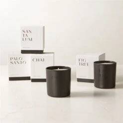 Stockhome Palo Santo Scented Candle 8oz -Nesto Store StockhomeCandleGroupFHF23 2