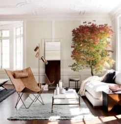 Slab Small Marble Coffee Table With Brass Base -Nesto Store butterflychaircheetahhideOC17 1